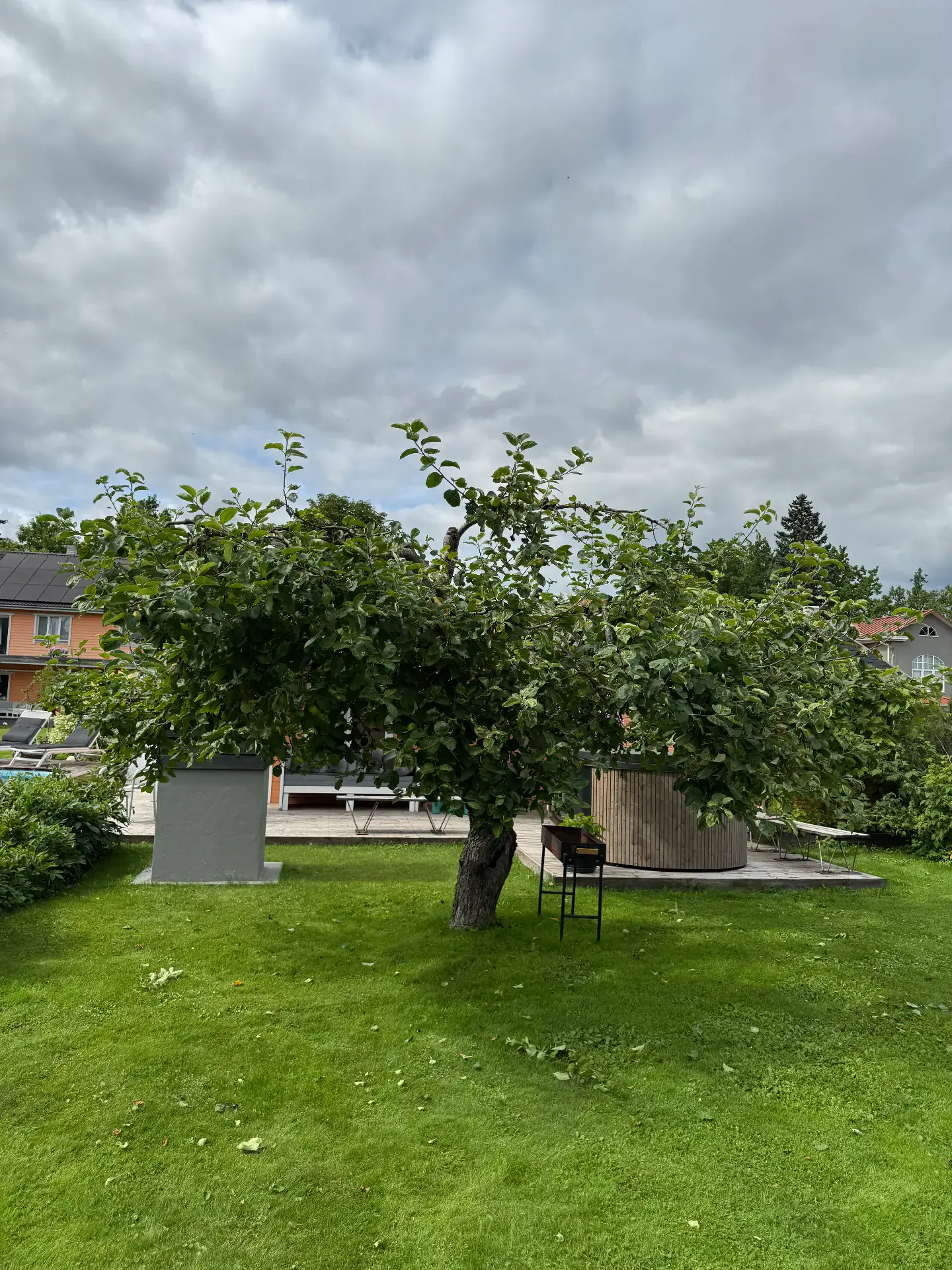 Hilissuvine järelhooldus